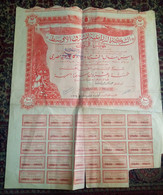 EGYPT 1954 - V Rare Shares Of The Agricultural Company For The Middle East  (EGYPT& SUDAN ) - Agriculture