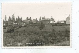 Delcampe - Opont Vue Générale ( Mosa ) - Paliseul