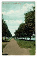 Ref 1495 - 1911 Postcard - The Gro Avenue - Builth Wells Breconshire Wales - Breconshire