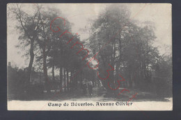 Camp De Béverloo - Avenue Olivier - Postkaart - Leopoldsburg (Beverloo Camp)