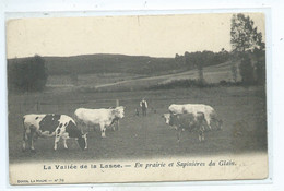 La Vallée De La Lasne - En Prairie Et Sapinières Du Glain La Hulpe - La Hulpe