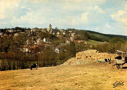 Septeuil * Panorama De Montchauvet - Septeuil