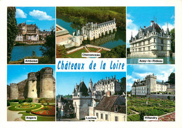 CPSM Les Châteaux De La Loire-Multivues    L873 - Centre-Val De Loire