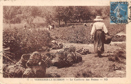 91-VERRIERES-LE-BUISSON- LA CEUILLETTE DES FRAISES - Verrieres Le Buisson