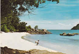 SEYCHELLES. CPSM. PLAGE A PRASLIN. + TEXTE ANNEE 1978 - Seychelles