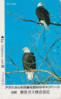 TC JAPON / 110-23827 B - ANIMAL - OISEAU - Rapace AIGLE Pygargue - EAGLE Raptor  BIRD JAPAN Free Phonecard - 5689 - Aigles & Rapaces Diurnes