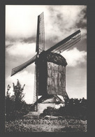 Knesselare - Pieten Dries-Molen - Foto Kaart - Mill / Moulin - Knesselare