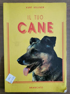 Il Tuo Cane - K. Kellner - Brancato - 1992 - AR - Nature