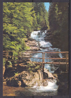 Bayerischer Wald Wasserfall Im Naturschutzgebiet Rieslach Bei Bodenmais (*AK-105) - Bodenmais