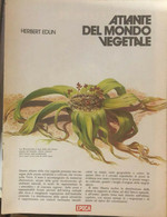 Atlante Del Mondo Vegetale Di Herbert Edlin,  1973,  Epoca - Natuur