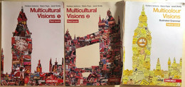 Multicultural Visions Red Book 1-2 E Green, Yellow Di Aa.vv., 2008, Zanichelli - Cursos De Idiomas