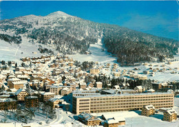 CPSM Sainte Croix Et Le Cochet-Beau Timbre      L871 - Sainte-Croix 