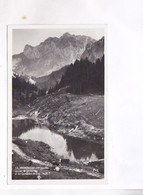 CPA PHOTO DPT 74 VACHERESSE, LE LAC DE FONTAINE - Vacheresse