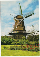 Putten - Molen 't Hert' - (Gelderland, Nederland) - L 2446 - (Moulin à Vent, Mühle, Windmill, Windmolen) - Putten