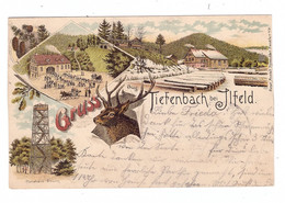 0-5505 HARZTOR - ILFELD, Lithographie 1897, Gruss Aus Tiefenbach, Gasthaus, Sägemühle, Carlshaus-Turm - Nordhausen