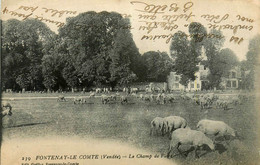 Fontenay Le Comte * Le Champ De Foire * Moutons - Fontenay Le Comte