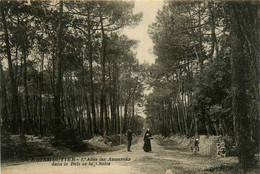 Noirmoutier * Allée Des Amoureux Dans Le Bois De La Chaize - Noirmoutier