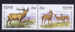 Russia 1999 Wildlife, Deer - Andere & Zonder Classificatie