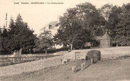 Montaigu * Village Hameau La Caillauderie - Montaigu