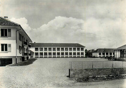 Sélestat * Le Groupe Scolaire De L'ouest * école - Selestat