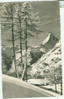 Zermatt Und Matterhorn - Gelaufen. (Perren-Barberini, Zermatt) - VS Valais