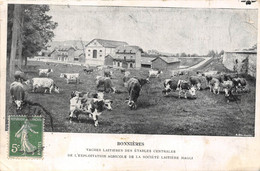 78-BONNIERES- VACHES LAITIERES DES ETABLES CENTRALES DE L'EXPLOTATION AGRICOLE DE LA STE LAITIERE MAGGI - Bonnieres Sur Seine