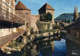 ARBOIS VIEUX REMPARTS TOUR GLORIETTE SUR LES BORDS DE LA CUISANCE 1973 - Arbois