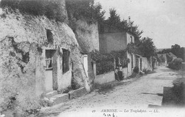 Amboise         37      Les Habitations  Troglodytes       L.L 49    (voir Scan) - Amboise