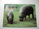 Annullo Speciale Maximum Wwf  Liberia Ippopotamo Hippopotamus - Hipopótamos