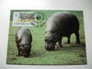 Annullo Speciale Maximum Wwf  Liberia Ippopotamo Hippopotamus - Hippopotamuses