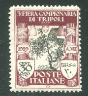 LIBIA 1929 3° FIERA DI TRIPOLI 30 C. + 20 C.  * GOMMA ORIGINALE - Libye