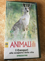 Animali In Primo Piano I Canguri Alla Scoperta Della Vita- Vhs-1995-DeAgostini-F - Lotti E Collezioni