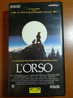 L'orso (VHS)  - Claude Berri - Vivivideo - 1987 - M - Collections