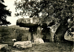 Draguignan * La Pierre Aux Fées * Dolmen Menhir Monolithe Mégalithe - Draguignan