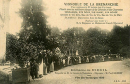 Nieuil * Fête De Vendanges 1909 Au Domaine , Vignoble De La Brenanchie * Régisseur Paul GRENET * Au Château - Altri & Non Classificati