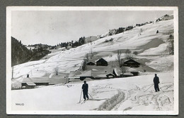 LES CONTAMINES - Champs De Ski ,route De Colombaz - - Contamine-sur-Arve