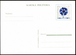 Poland Postal Card Cp 318 Polish Flowers - Postwaardestukken