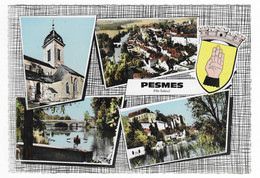 CPSM MULTIVUES SOUVENIR DE PESMES, HAUTE SAONE 70 - Pesmes