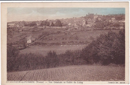 Delcampe - Yonne : SAINT SAUVEUR En PUISAYE :  Vue Générale Et Vallée Du Loing : Colorisée - Saint Sauveur En Puisaye
