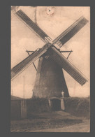 Kasterlee - Beermolen - Terloo - Moulin / Mill - Kasterlee