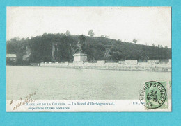 * Gileppe (Liège - Luik - La Wallonie) * Barrage De La Gileppe, La Foret D'Hertogenwald, Statue Lion, Stuwdam, Timbre - Gileppe (Stuwdam)