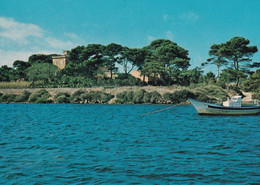 Isola Di Mozia - Marsala - Villa Whitaker - Vista Dalmare - Formato Grande Non Viaggiata – RM - Marsala