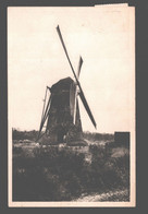 Kasterlee - Zwarte Molen - Moulin / Mill - Kasterlee