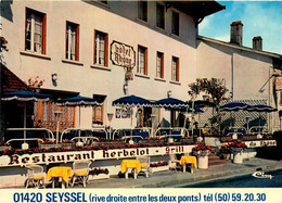 Seyssel * CP Calendrier 1979 Calendar * Hôtel Du Rhône - Seyssel