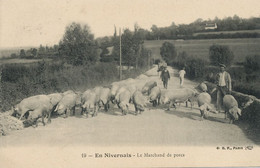 Le Marchand De Porcs En Nivernais . The Pig Seller . - Händler