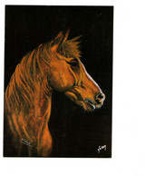 Cheval Chevaux Par Schrub Illustration Illustrateur Dessin CPM - Horses