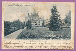 Grand Duché De Luxembourg - Château De Berg - Circulé 1900 - Colmar – Berg