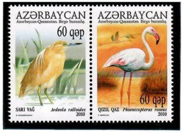 Azerbaijan 2010 . Birds (J/w Kazakhstan). Pair Of 2v X 60q. Michel # 832-33 - Aserbaidschan