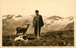 Luchon Superbagnères * Un Patre * Berger Métier Chevrier Type Personnage - Luchon