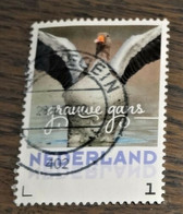 Nederland - NVPH - 3013 - Vogels - 2017 - Persoonlijk Gebruikt - Cancelled - Grauwe Gans - Sellos Privados